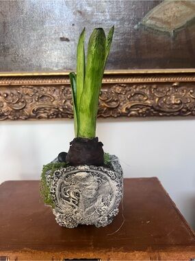 Hyacinthus purple bulb in vintage style vase. Handmade.